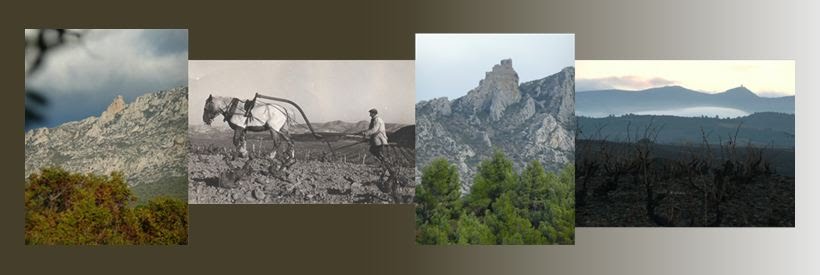 banniere photos histoire