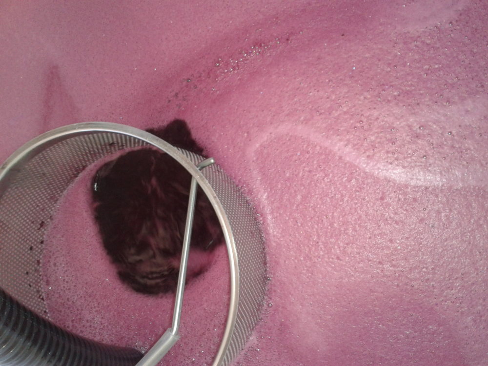 cave (8)