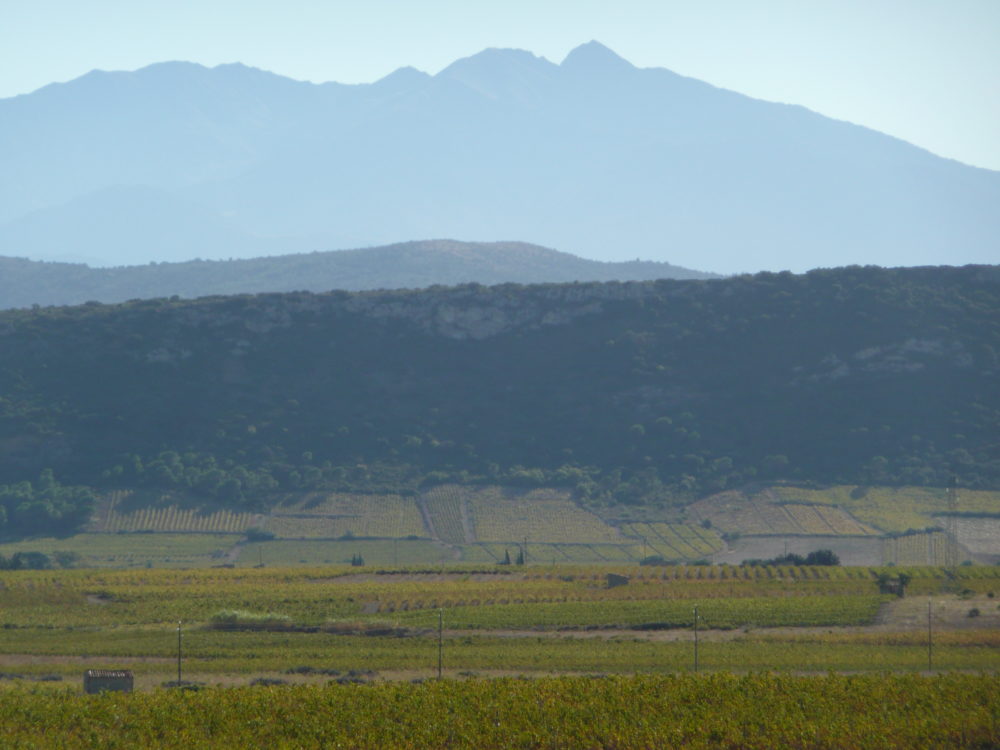 panorama (6)