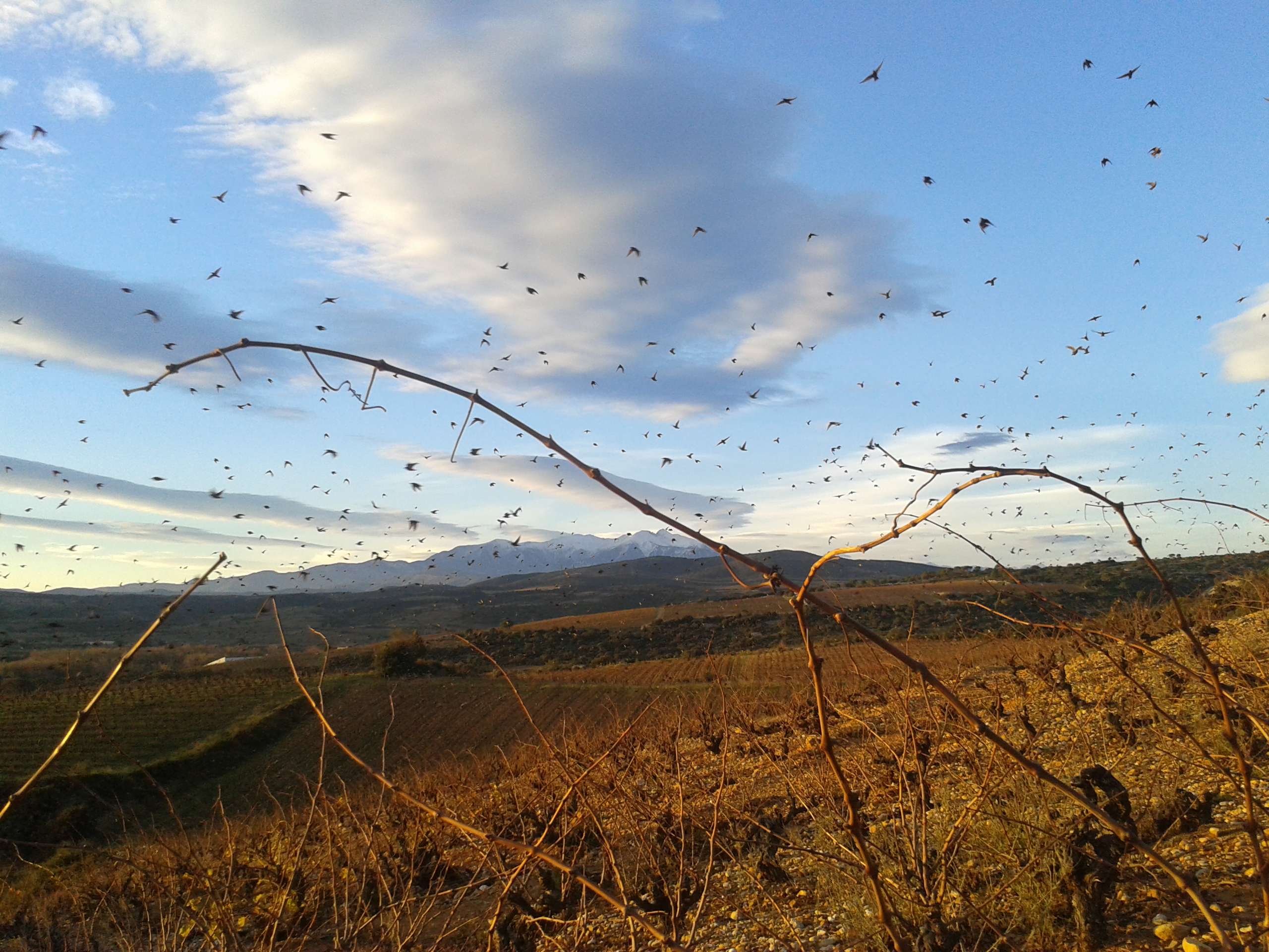 panorama (8)